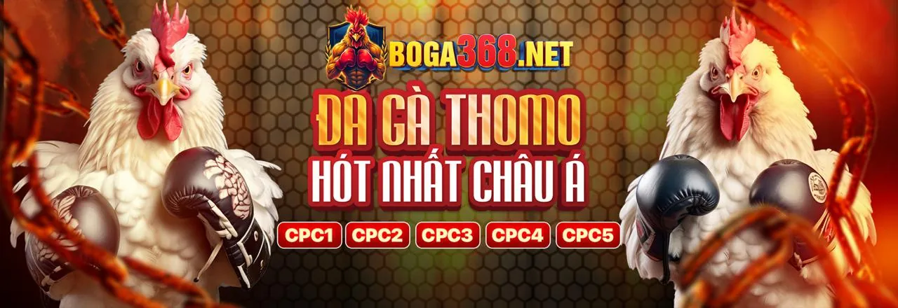 Trò chơi slot và bắn cá